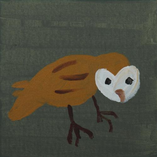 Owl, 2018